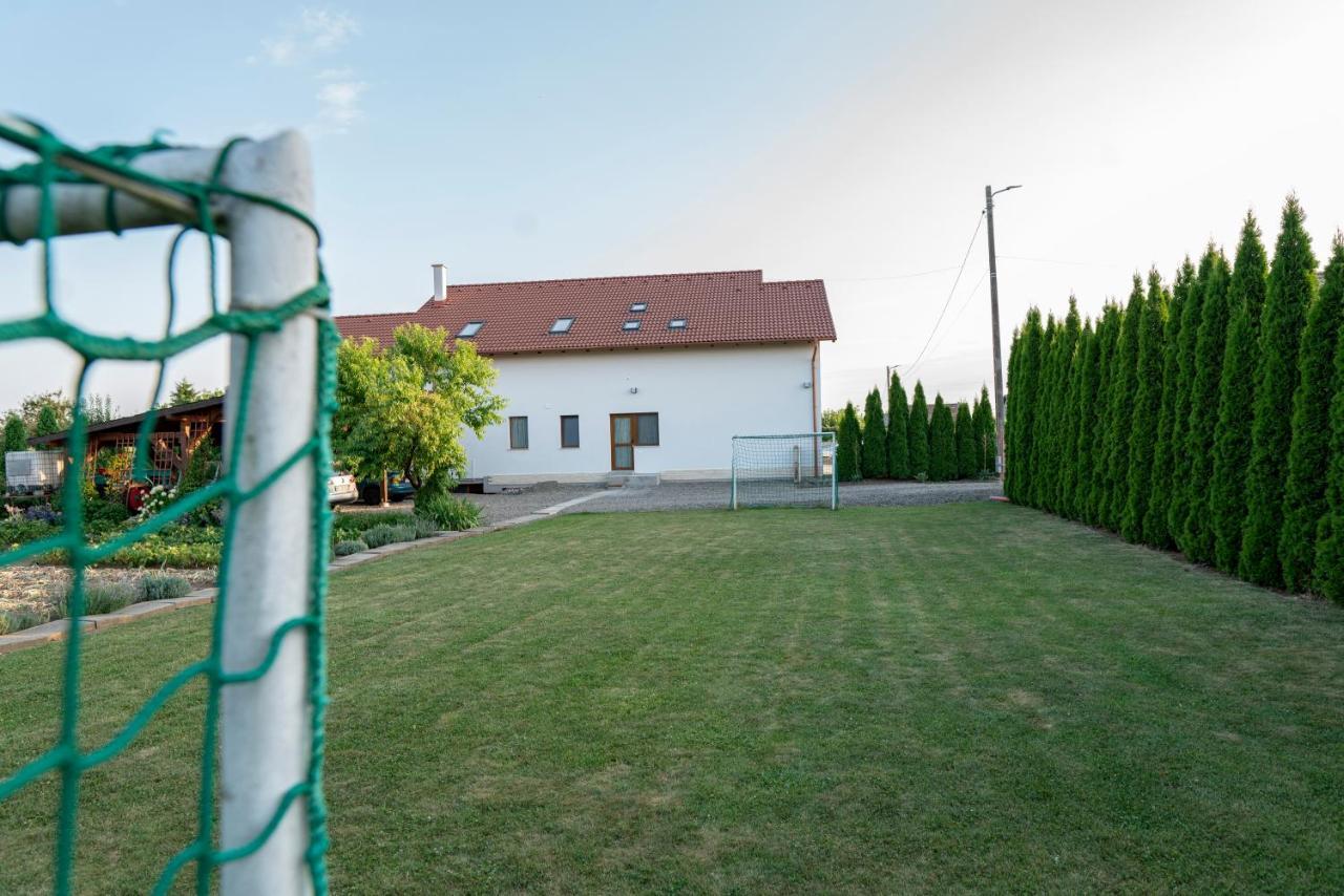 Pensiunea Gassi Sancraiu de Mures Екстер'єр фото